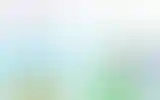 Blurred archive preview