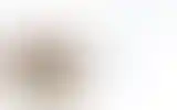 Blurred archive preview