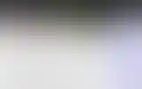 Blurred archive preview