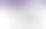 Blurred archive preview