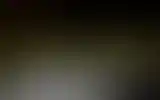 Blurred archive preview