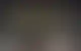 Blurred archive preview