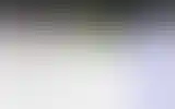 Blurred archive preview