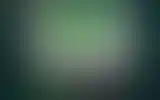 Blurred archive preview
