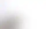 Blurred archive preview