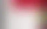 Blurred archive preview