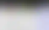 Blurred archive preview