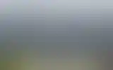 Blurred archive preview