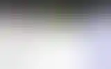 Blurred archive preview
