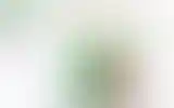 Blurred archive preview
