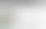 Blurred archive preview