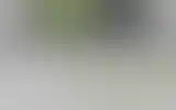 Blurred archive preview