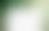 Blurred archive preview