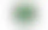 Blurred archive preview
