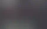 Blurred archive preview