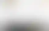 Blurred archive preview