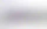Blurred archive preview