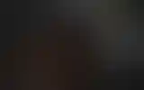 Blurred archive preview