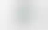 Blurred archive preview