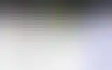 Blurred archive preview