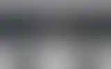 Blurred archive preview