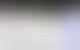 Blurred archive preview