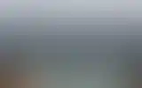 Blurred archive preview