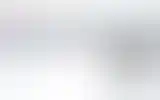 Blurred archive preview