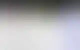 Blurred archive preview