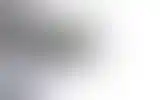 Blurred archive preview