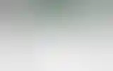 Blurred archive preview