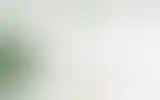 Blurred archive preview