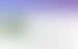 Blurred archive preview