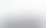 Blurred archive preview