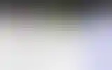 Blurred archive preview