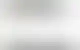 Blurred archive preview