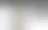 Blurred archive preview