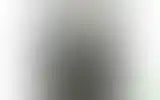 Blurred archive preview