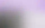 Blurred archive preview