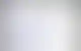 Blurred archive preview