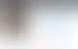 Blurred archive preview