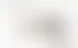 Blurred archive preview