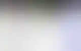 Blurred archive preview
