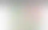 Blurred archive preview