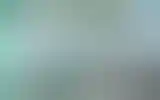 Blurred archive preview