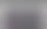 Blurred archive preview