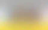 Blurred archive preview