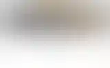 Blurred archive preview