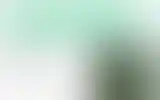 Blurred archive preview