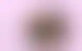 Blurred archive preview